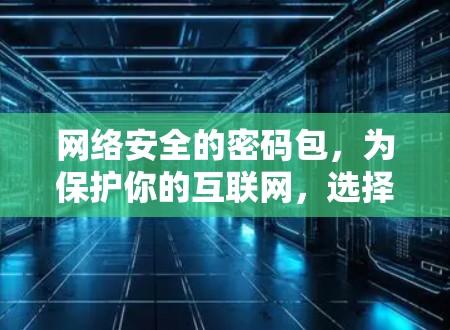 网络安全的密码包,为保护你的互联网,选择这些VPN