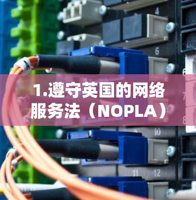 1.遵守英国的网络服务法(NOPLA)