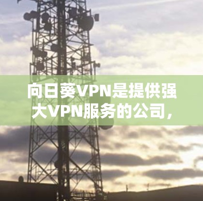向日葵VPN是提供强大VPN服务的公司，但连接到它需要满足一定的条件。以下是逐步的解决方案