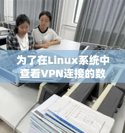 为了在Linux系统中查看VPN连接的数量,您可以按照以下步骤操作