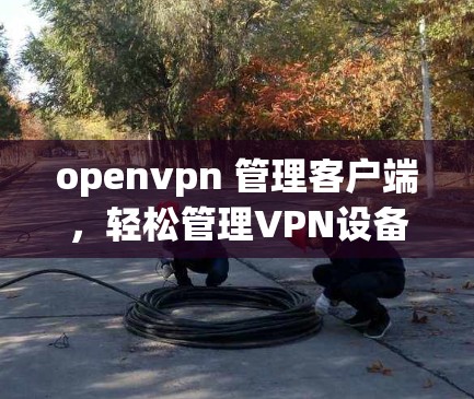 openvpn 管理客户端,轻松管理VPN设备的指南