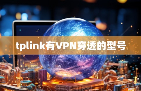tplink有VPN穿透的型号