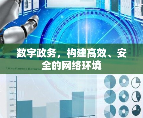 数字政务,构建高效、安全的网络环境