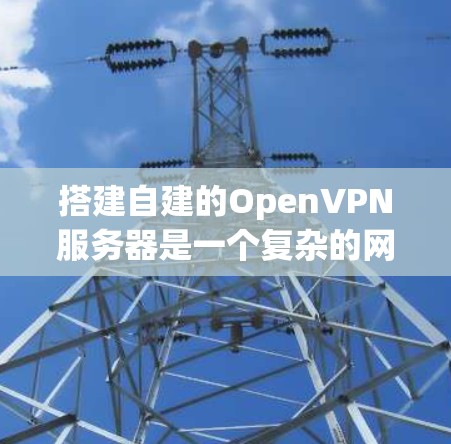 搭建自建的OpenVPN服务器是一个复杂的网络配置过程，但可以通过以下步骤逐步完成