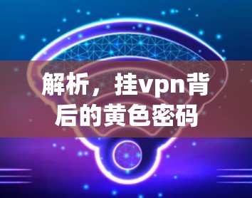 解析，挂vpn背后的黄色密码