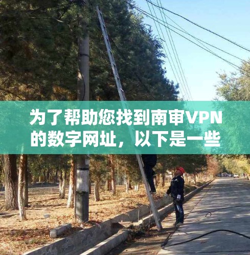 为了帮助您找到南审VPN的数字网址,以下是一些步骤和建议 为了帮助您找到南审VPN的数字网址,以下是一些步骤和建议