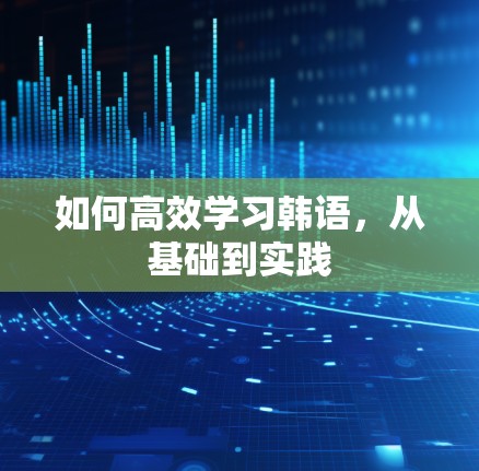 如何高效学习韩语,从基础到实践 如何高效学习韩语,从基础到实践