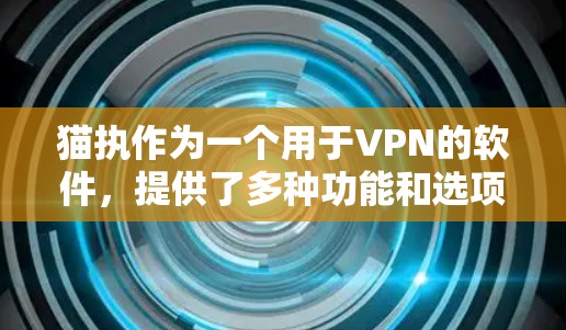 猫执作为一个用于VPN的软件，提供了多种功能和选项，适合不同的使用场景。以下是对猫执的详细分析