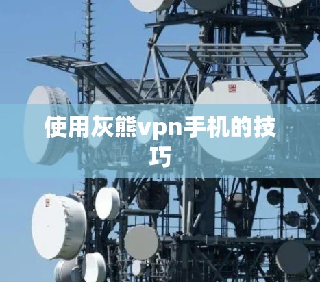 使用灰熊vpn手机的技巧 使用灰熊vpn手机的技巧