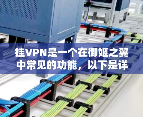 挂VPN是一个在御姬之翼中常见的功能，以下是详细的步骤指南