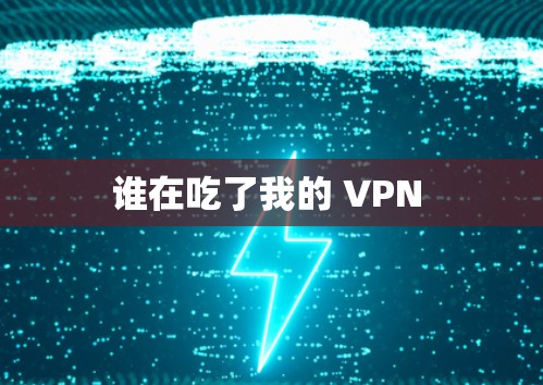 谁在吃了我的 VPN 谁在吃了我的 VPN