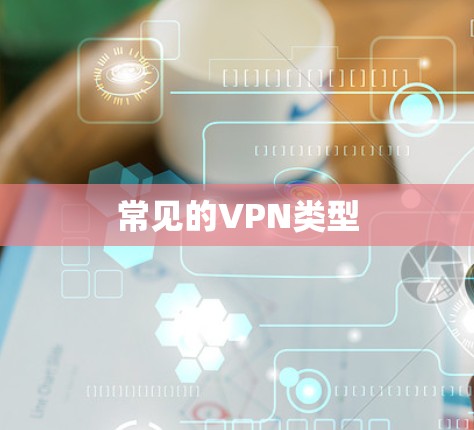 常见的VPN类型 常见的VPN类型