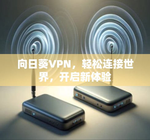 向日葵VPN，轻松连接世界，开启新体验