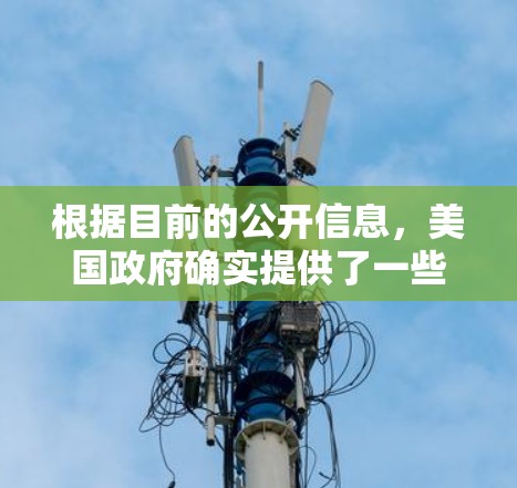 根据目前的公开信息，美国政府确实提供了一些网络服务，其中包括用于国家安全的访问，例如美国网络安全局（NSA）的网络服务。这些服务通常用于访问敏感信息或进行国家安全任务，但必须遵循相关的法律和政策