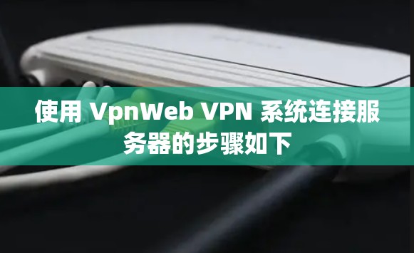 使用 VpnWeb VPN 系统连接服务器的步骤如下