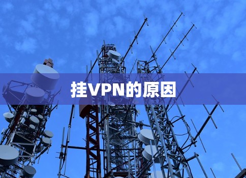 挂VPN的原因 挂VPN的原因