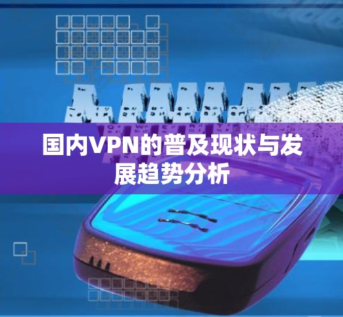 国内VPN的普及现状与发展趋势分析 国内VPN的普及现状与发展趋势分析