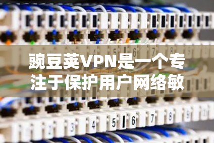 豌豆荚VPN是一个专注于保护用户网络敏感信息和数据的安全软件，非常适合那些需要加密微信、QQ、支付宝等应用数据的用户。以下是一个详细的使用指南，帮助你了解如何使用豌豆荚VPN