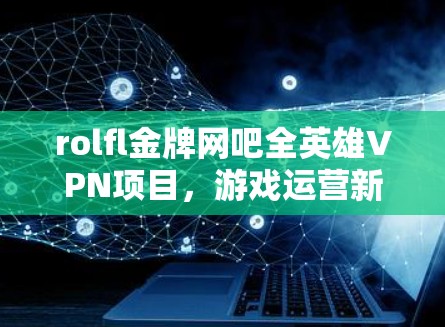 rolfl金牌网吧全英雄VPN项目，游戏运营新思路