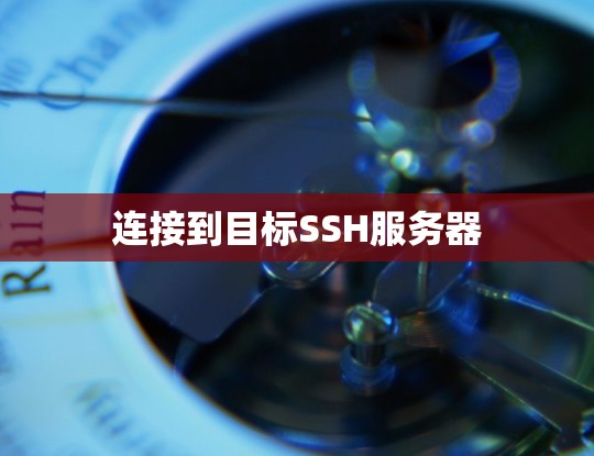 连接到目标SSH服务器 连接到目标SSH服务器