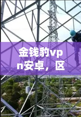 金钱豹vpn安卓，区块链技术下的加密货币挑战与解决方案