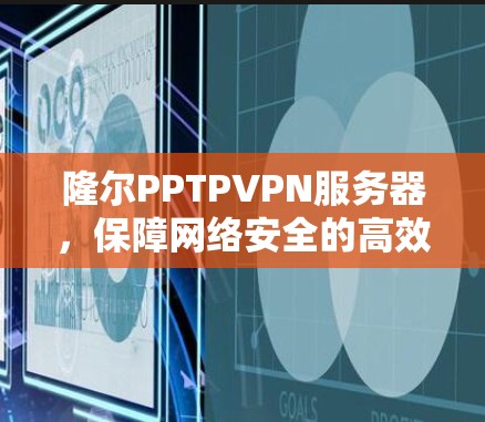 隆尔PPTPVPN服务器，保障网络安全的高效解决方案