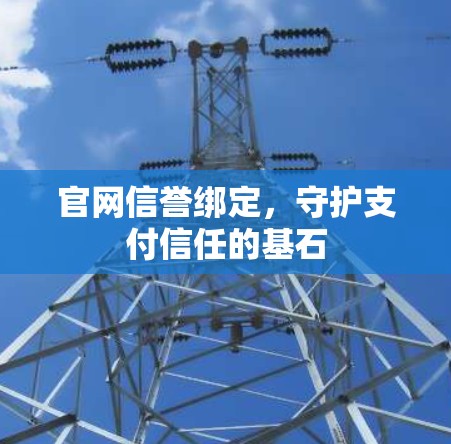官网信誉绑定，守护支付信任的基石