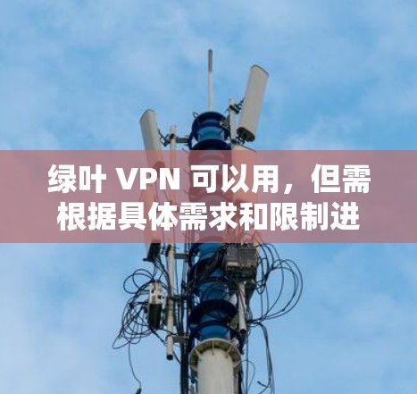 绿叶 VPN 可以用,但需根据具体需求和限制进行选择。以下是详细的步骤和注意事项 绿叶 VPN 可以用,但需根据具体需求和限制进行选择。以下是详细的步骤和注意事项