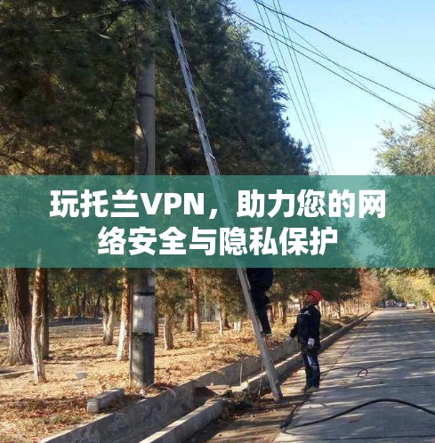 玩托兰VPN，助力您的网络安全与隐私保护