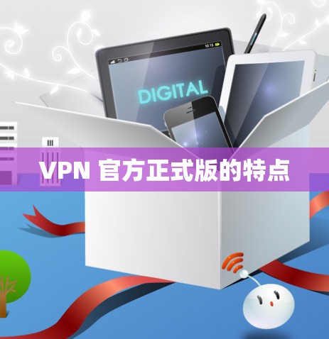 VPN 官方正式版的特点 VPN 官方正式版的特点