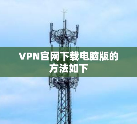 VPN官网下载电脑版的方法如下
