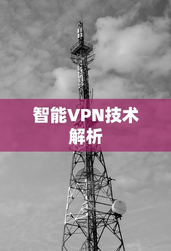 智能VPN技术解析 智能VPN技术解析