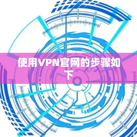 使用VPN官网的步骤如下 使用VPN官网的步骤如下