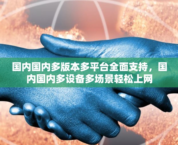国内国内多版本多平台全面支持，国内国内多设备多场景轻松上网