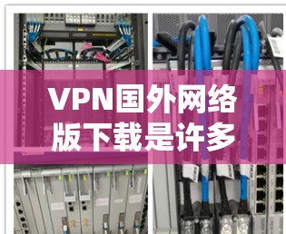 VPN国外网络版下载是许多用户需要尝试的网络服务，用于访问国外服务器或服务。以下是一些常见的国外VPN服务推荐，供您参考