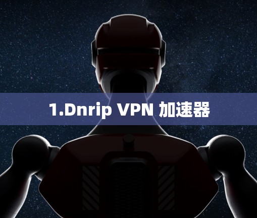 1.Dnrip VPN 加速器