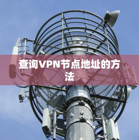 查询VPN节点地址的方法