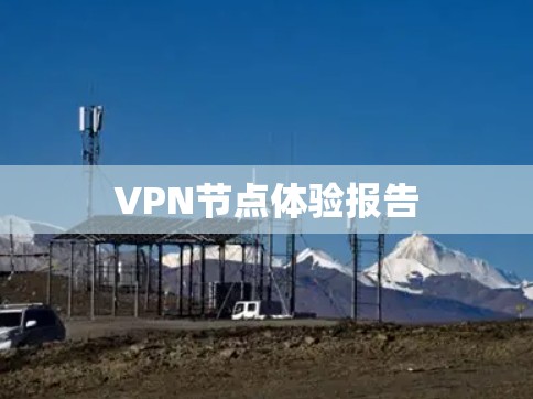 VPN节点体验报告