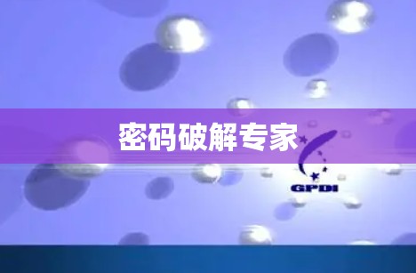 密码破解专家