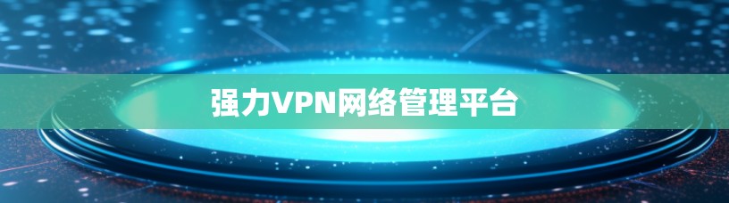 强力VPN网络管理平台 强力VPN网络管理平台