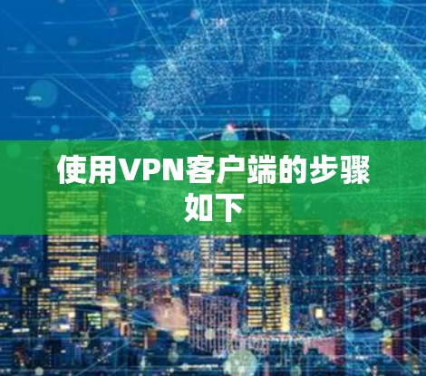 使用VPN客户端的步骤如下 使用VPN客户端的步骤如下