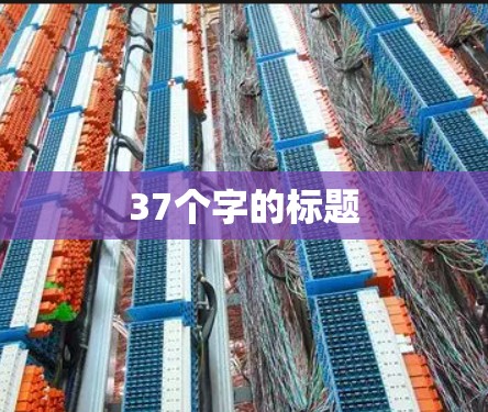 37个字的标题
