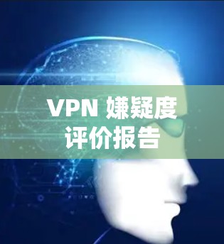 VPN 嫌疑度评价报告