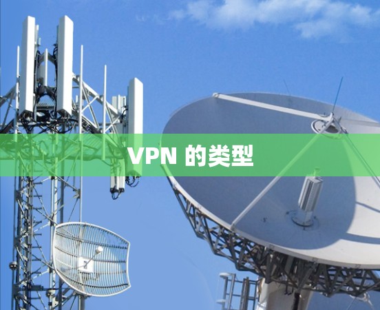 VPN 的类型