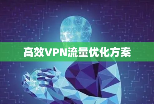 高效VPN流量优化方案 高效VPN流量优化方案