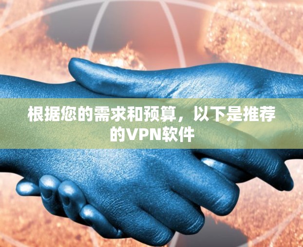 根据您的需求和预算，以下是推荐的VPN软件