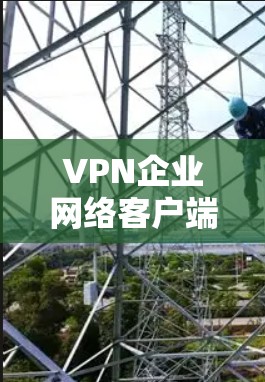 VPN企业网络客户端推荐，选择标准与使用建议