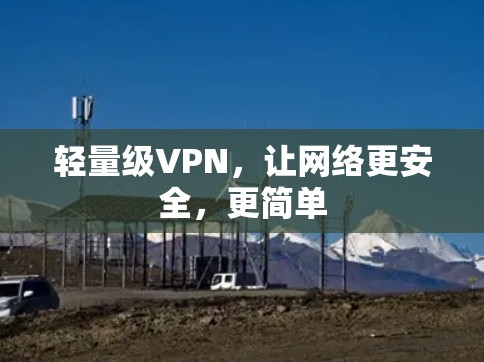 轻量级VPN，让网络更安全，更简单