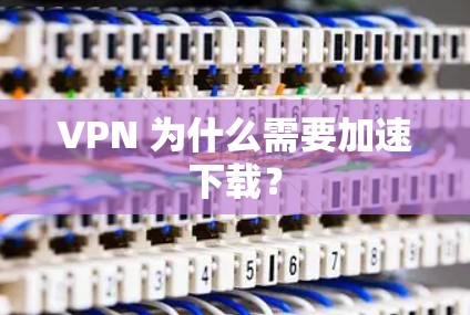 VPN 为什么需要加速下载？
