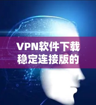 VPN软件下载稳定连接版的步骤如下